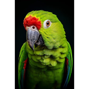 Green Parrot Canvas